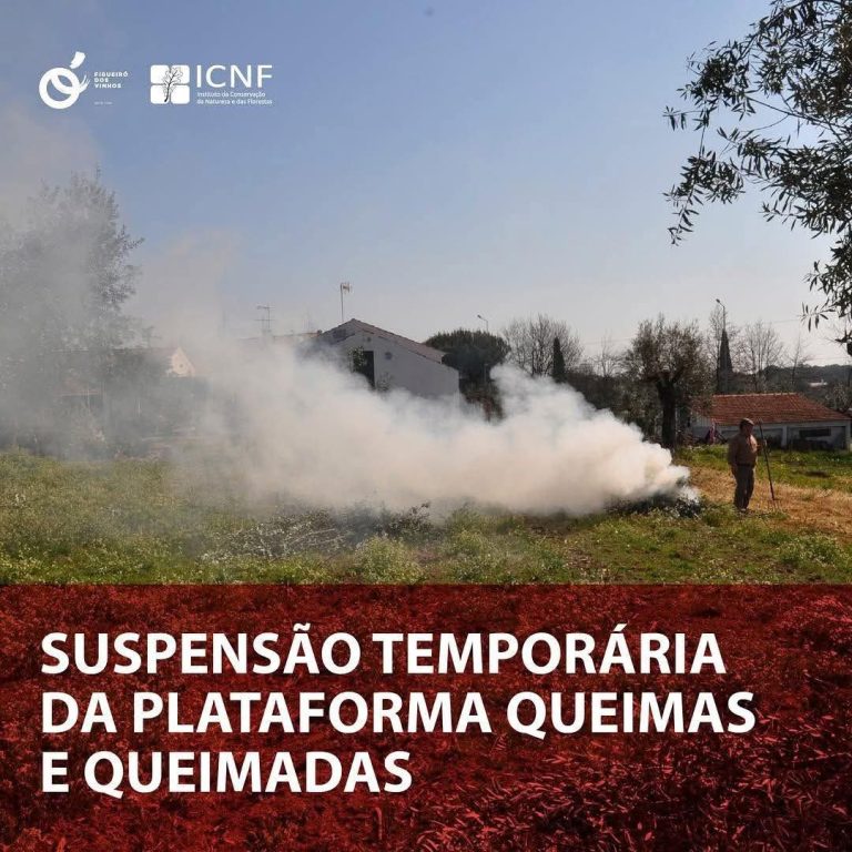 FB_IMG_1779364730443